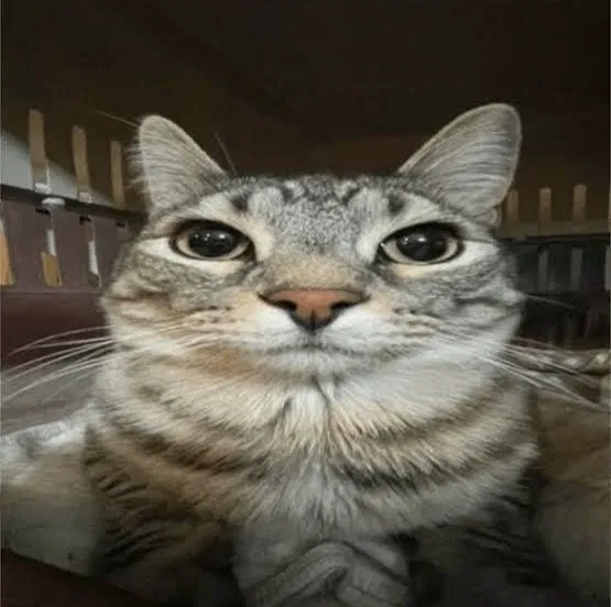 Avatar of All good
