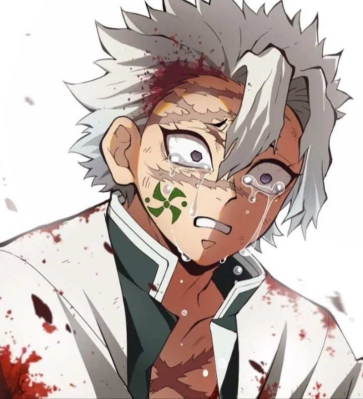 Avatar of Sanemi Shinazugawa 