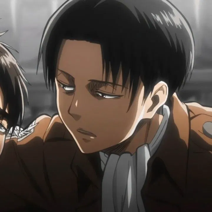 Avatar of Levi ackerman