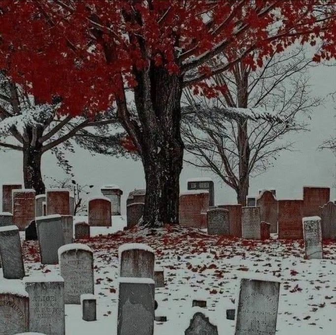 Avatar of Afterlife 