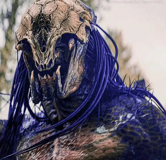 Avatar of Predator vs Heros