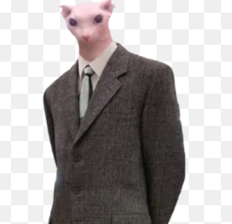Avatar of Bingus Stan V