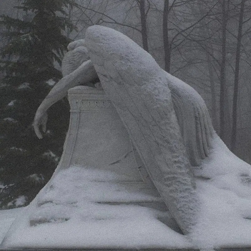 Avatar of The Cold Angel.