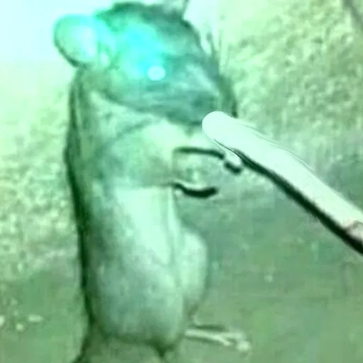 Avatar of the rat with thinner but in Morse code