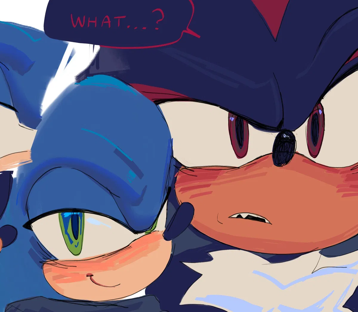 Avatar of Sonadow /Shadow/