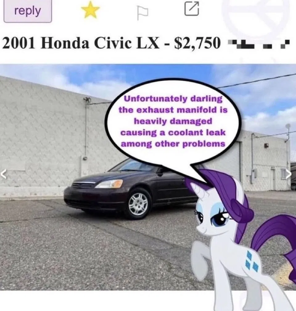 Avatar of Rarity: the working mare