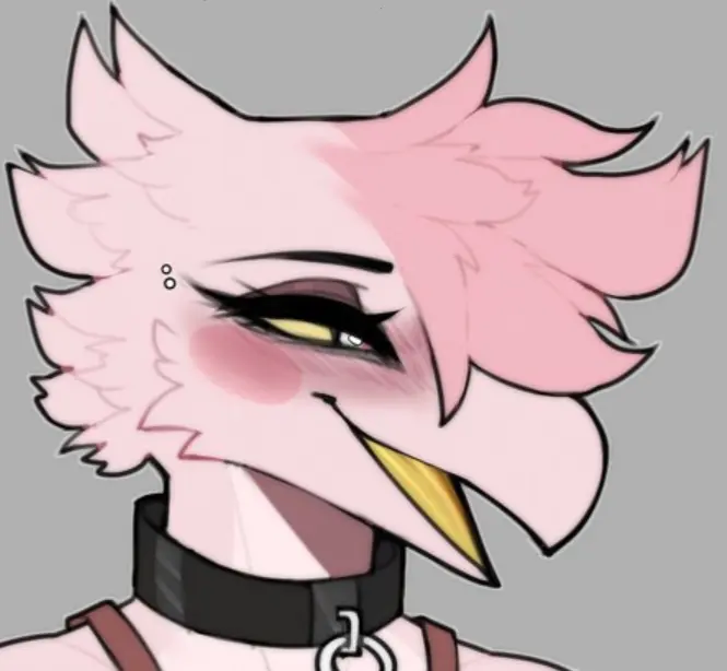 Avatar of Nikki