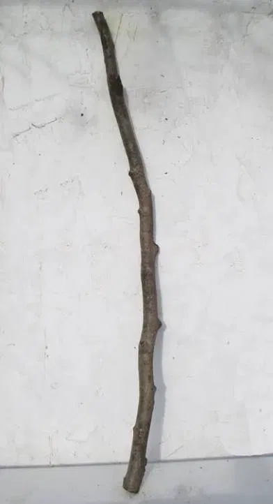 Avatar of Big ass stick