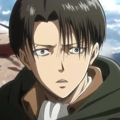 Avatar of Levi akerman