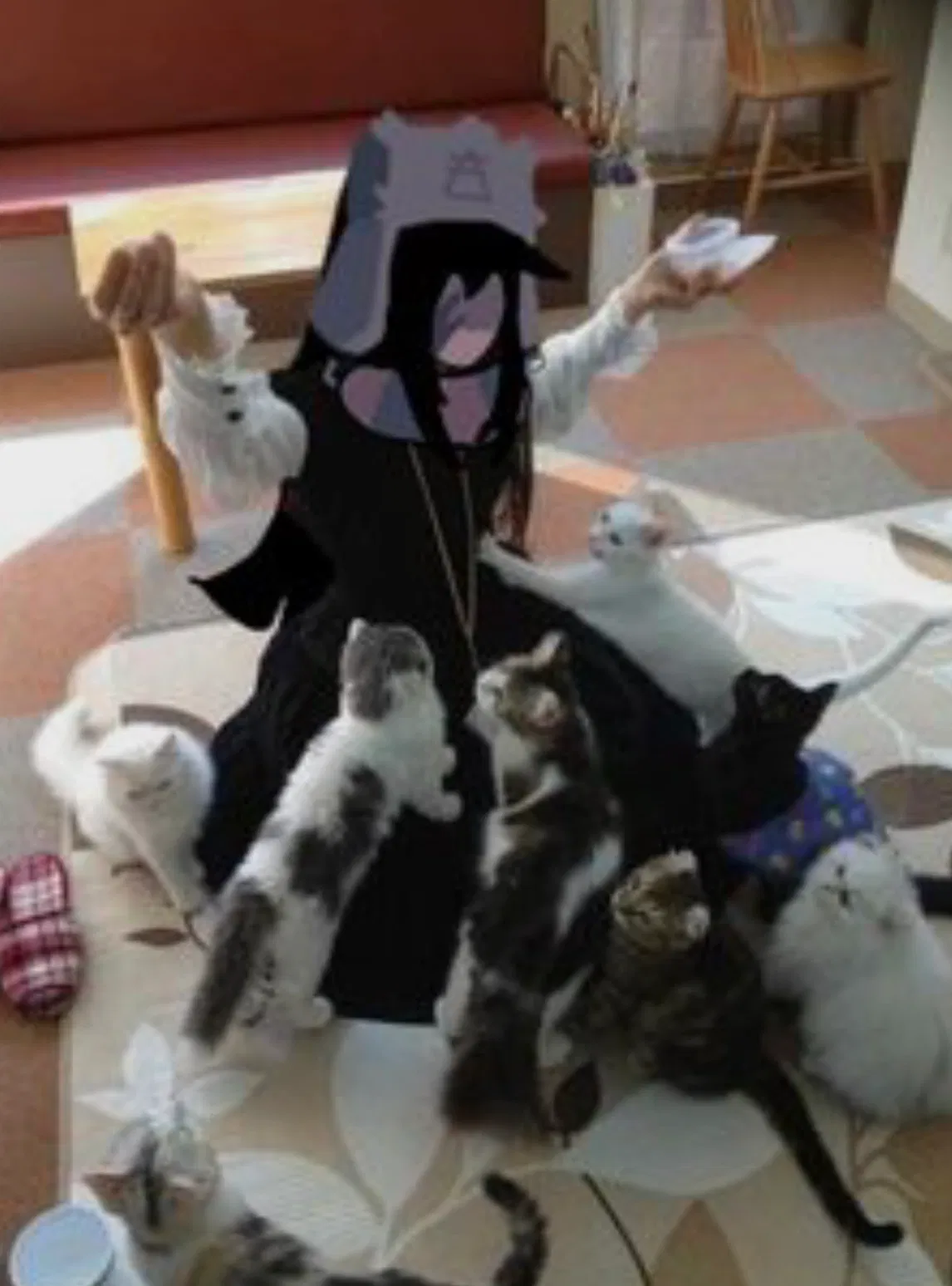 Avatar of Aiden, Lord Of All Cats.