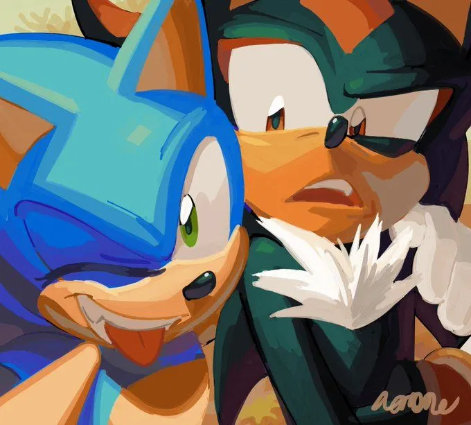 Avatar of Sonic and Shadow