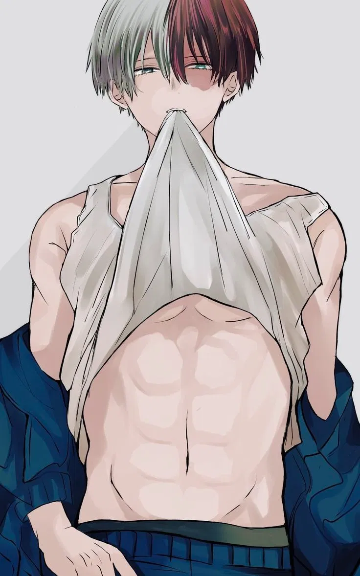 Avatar of Shoto Todoroki | Husband