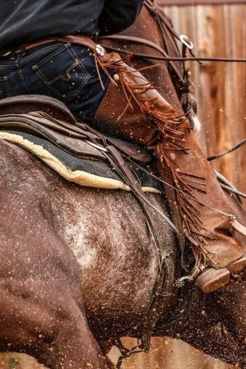 Avatar of The rodeo centaurs 