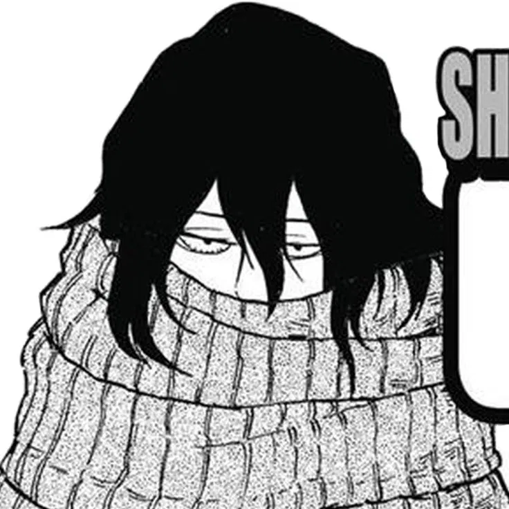 Avatar of ★ Shota Aizawa 