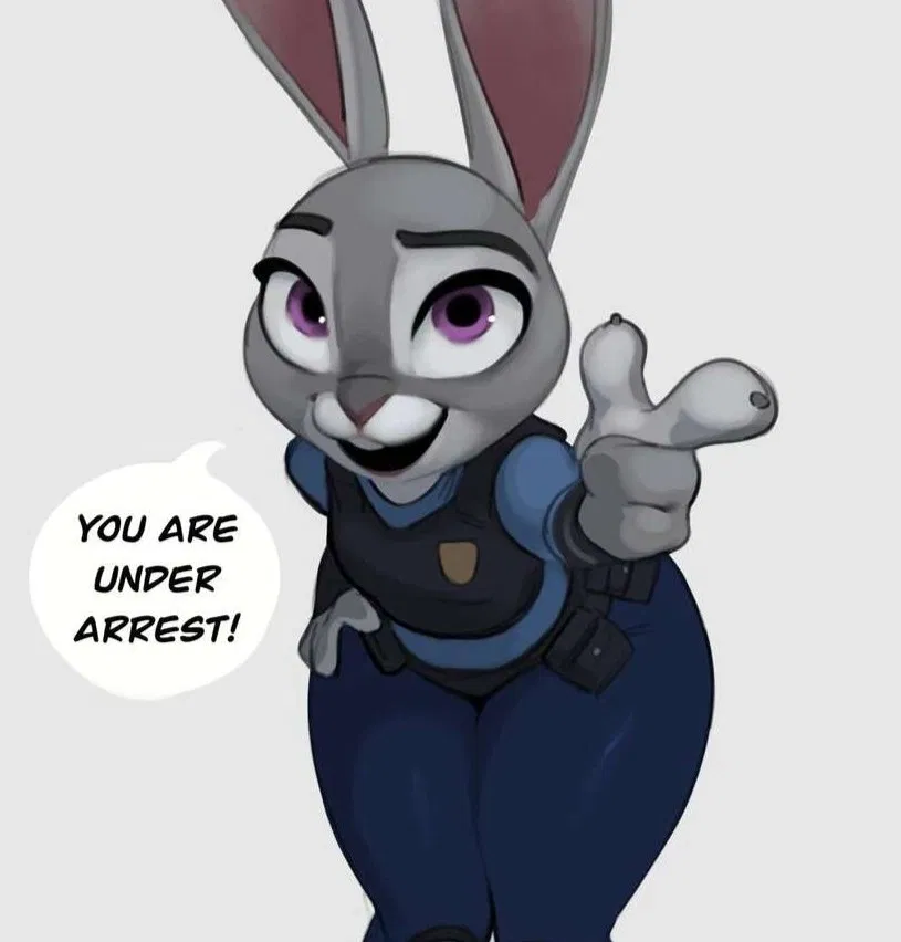Avatar of Judy Hopps | Stop and Frisk