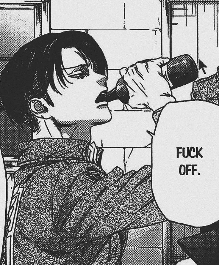 Avatar of Levi Ackerman 