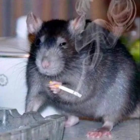 Avatar of Lab rat simulator 