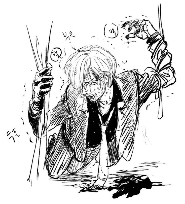 Avatar of 「 ✦ VINSMOKE SANJI ✦ 」