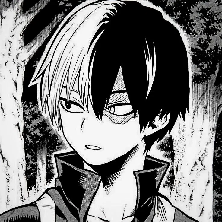 Avatar of ★ Shoto Todoroki —❄️🔥