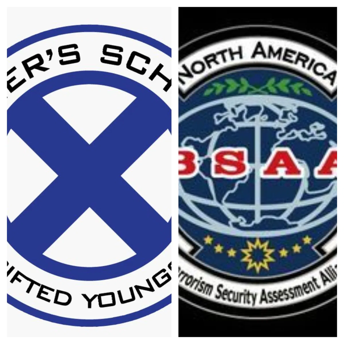 Avatar of BSAA x XMEN