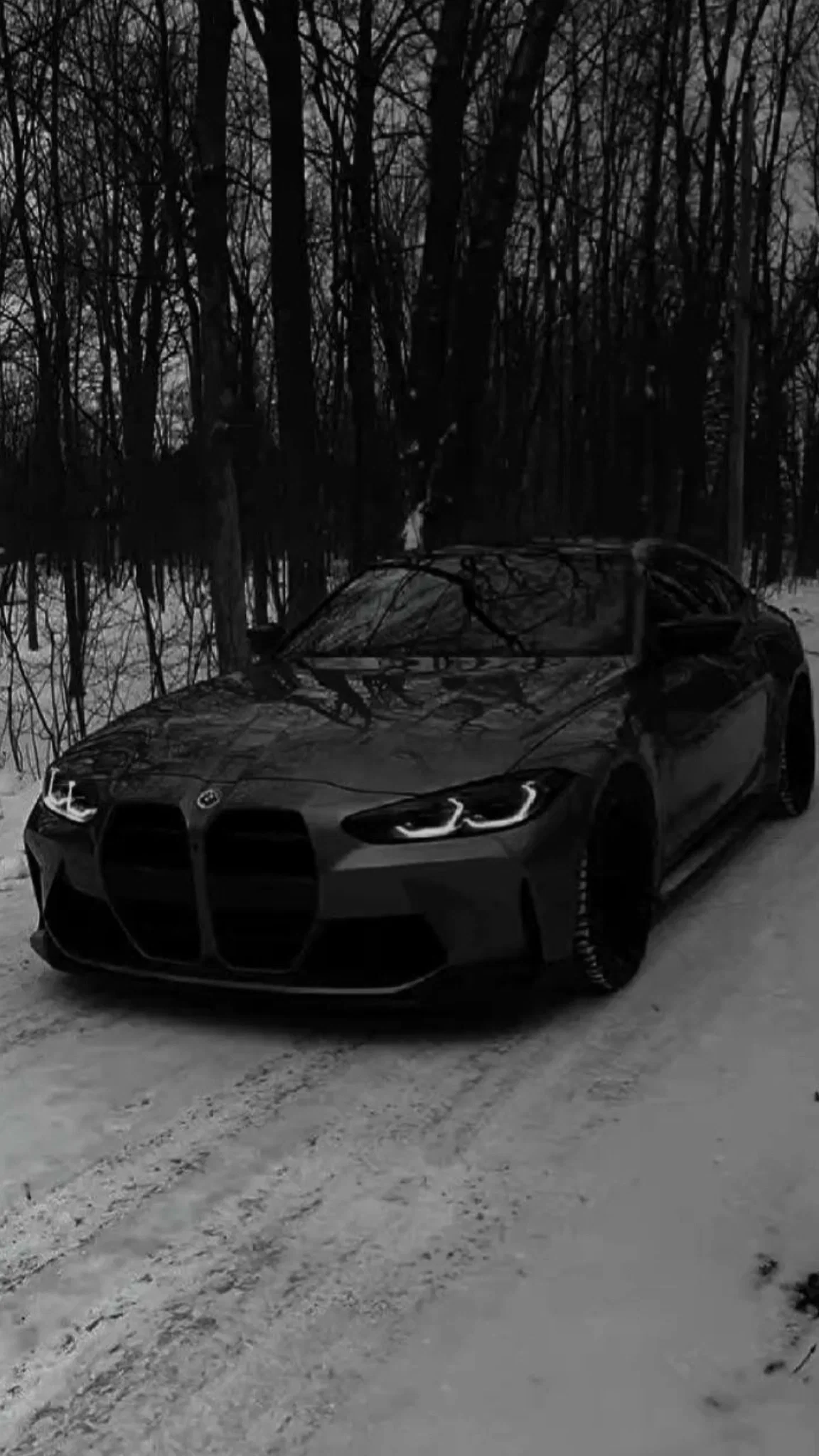 Avatar of BMW M4