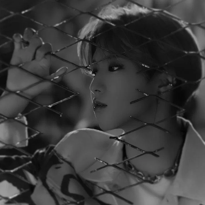 Avatar of Han Jisung | Omega