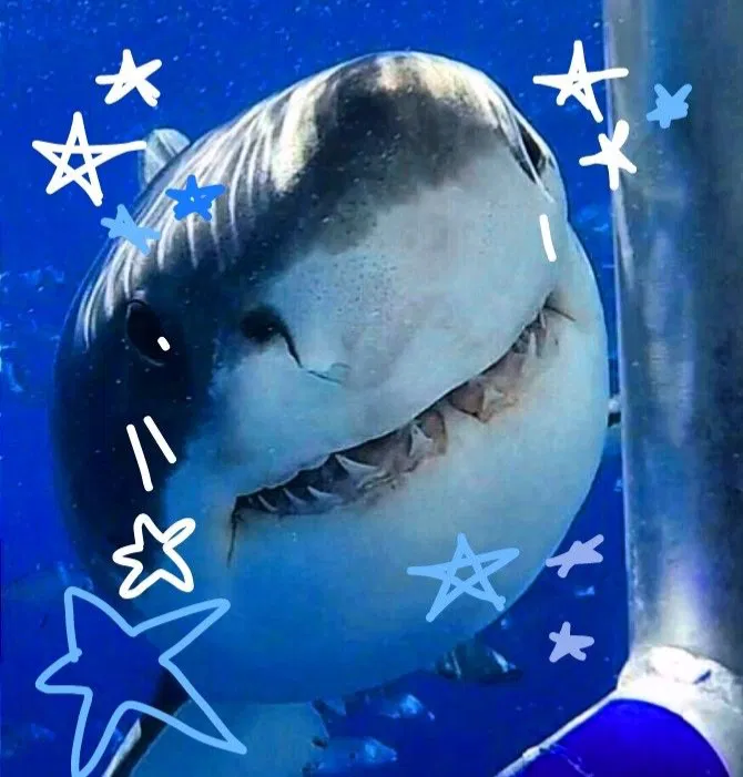 Avatar of 🌊💧🦈Riptide🦈💧🌊