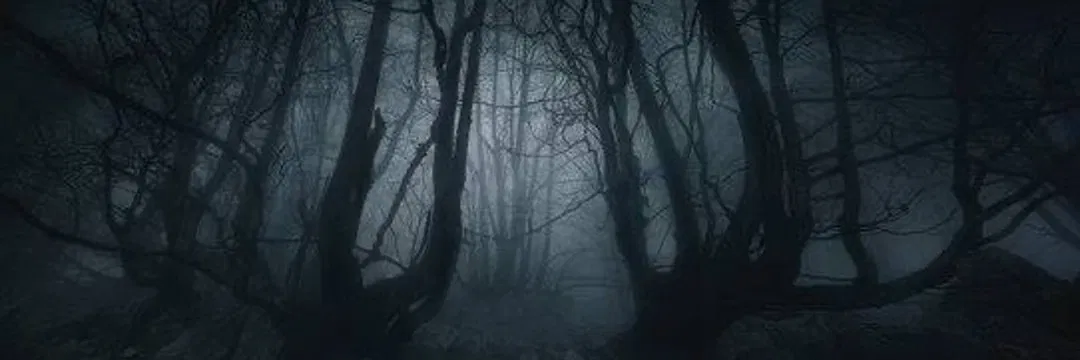 Avatar of The Fog