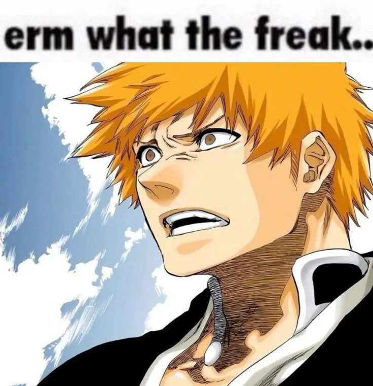 Avatar of Bleach fan || (·•᷄‎ࡇ•᷅ )