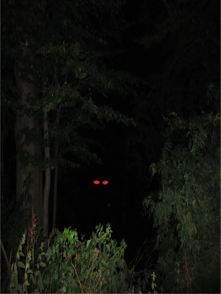 Avatar of Sophie The wolf woman