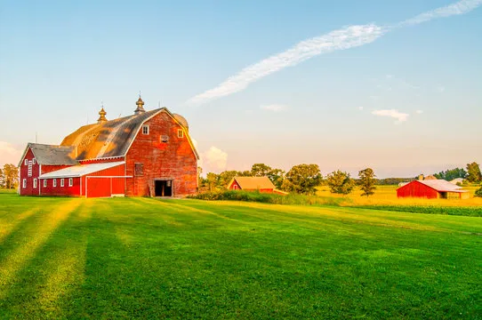 Avatar of Farm Town Simulator