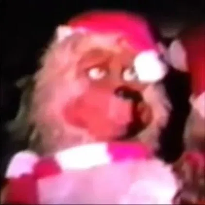 Avatar of Christmas! | Beach Bear