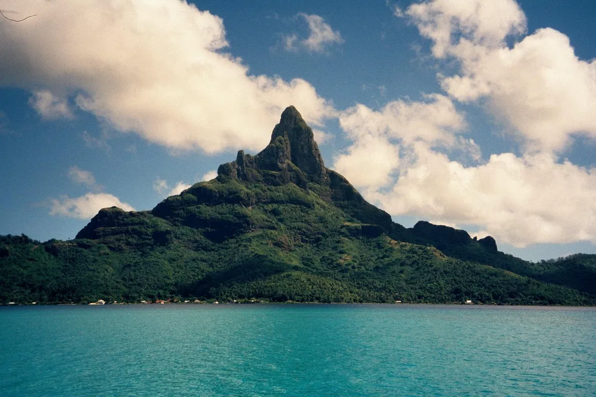 Avatar of Monster Island
