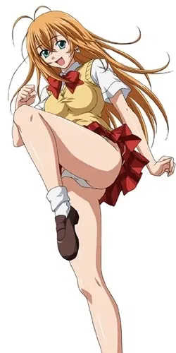 Avatar of Hakufu Sonsaku (Battle Vixens)
