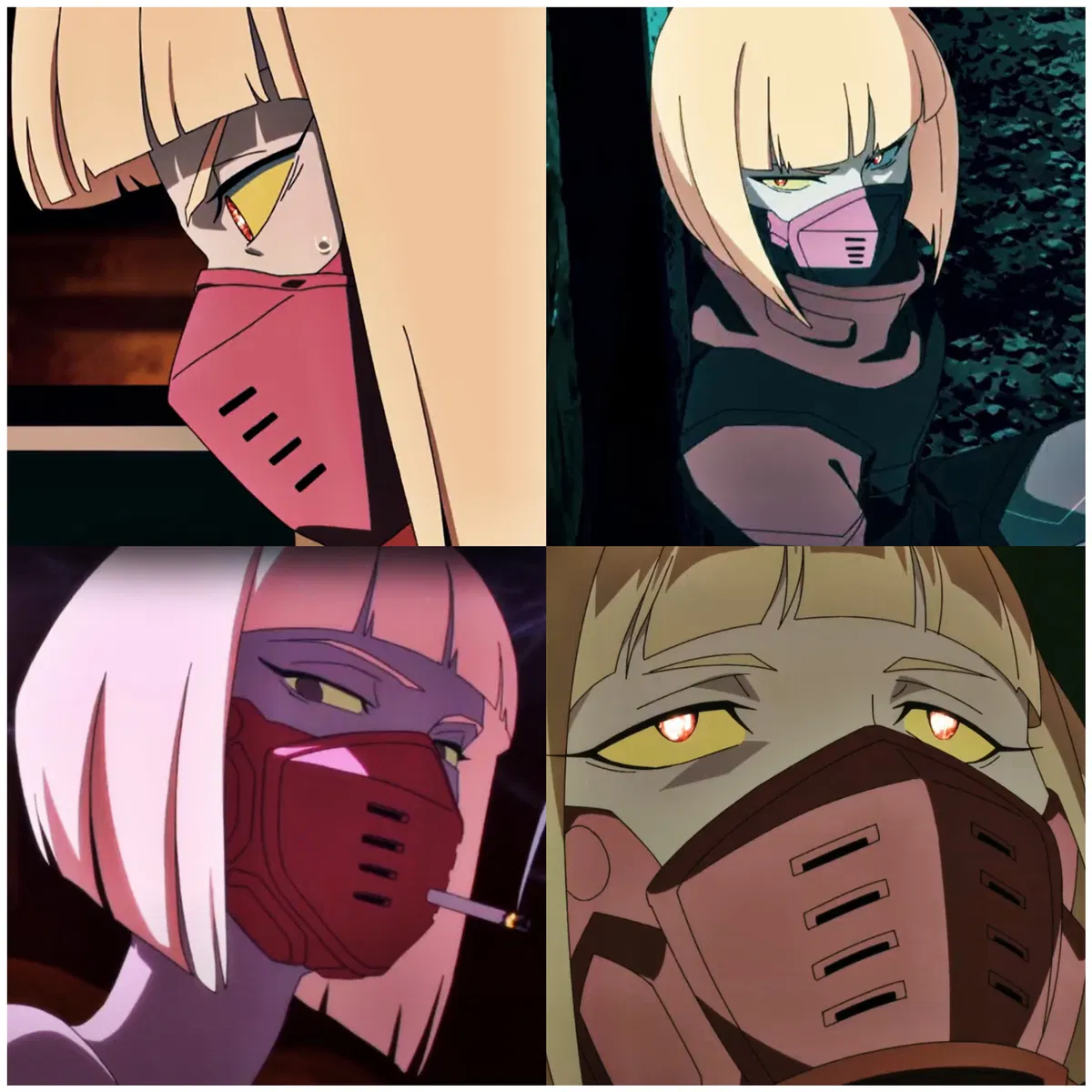 Avatar of Kiwi