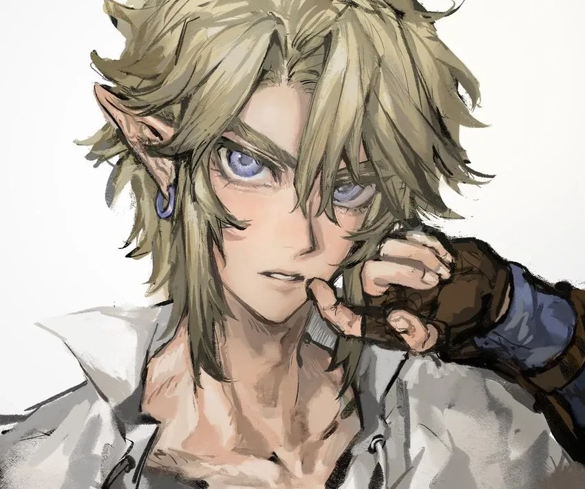 Avatar of Link  ღ Twilight Princess ღ