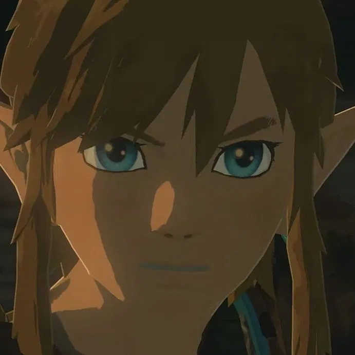 Avatar of Link | Hero of the Wild