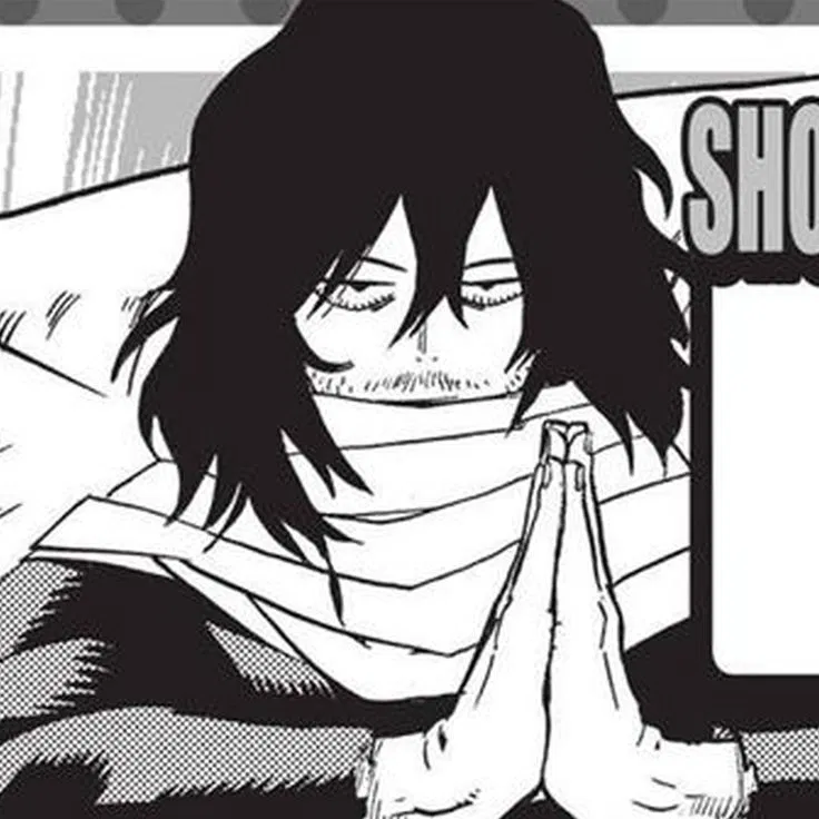 Avatar of Shota Aizawa 