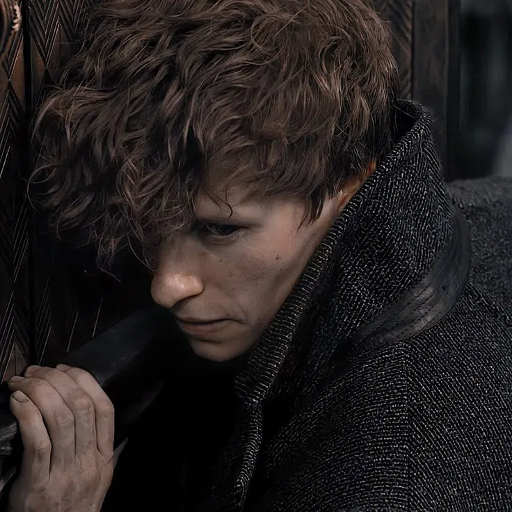 Avatar of Newton 'Newt' Scamander