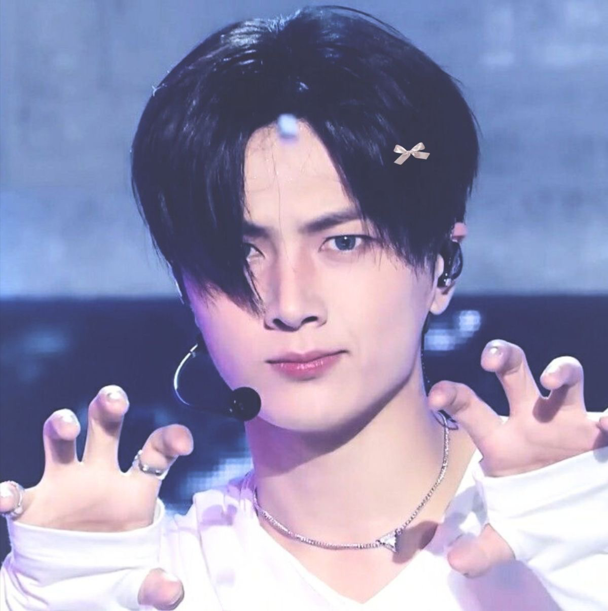 Avatar of Cat Owner Jay —ENHYPEN—