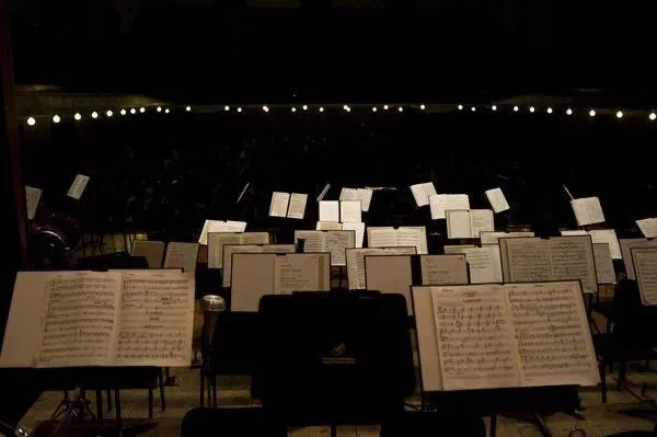 Avatar of Alex– °•University Orchestra Director•°
