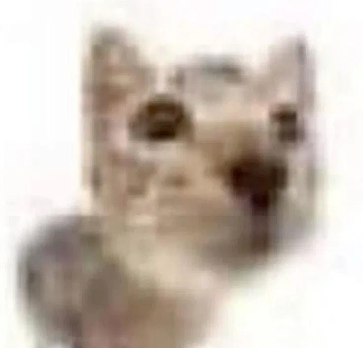 Avatar of Guys, I need bot ideas :(