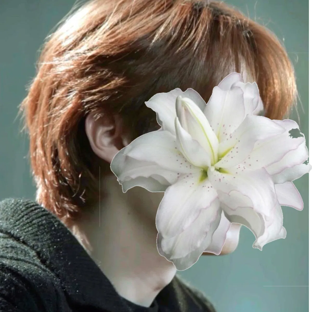 Avatar of Lee Minho