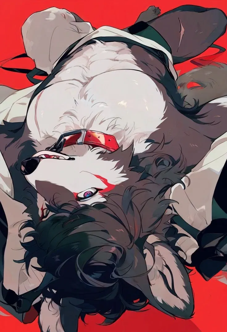 Avatar of Your boyfriend got into a fight and is badly hurt... (BL)