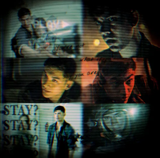 Avatar of Tyler Harrison