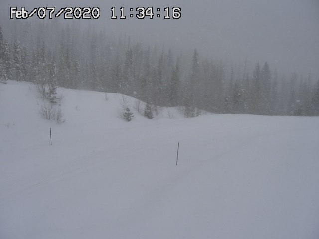 Avatar of A snowy, stormy night.