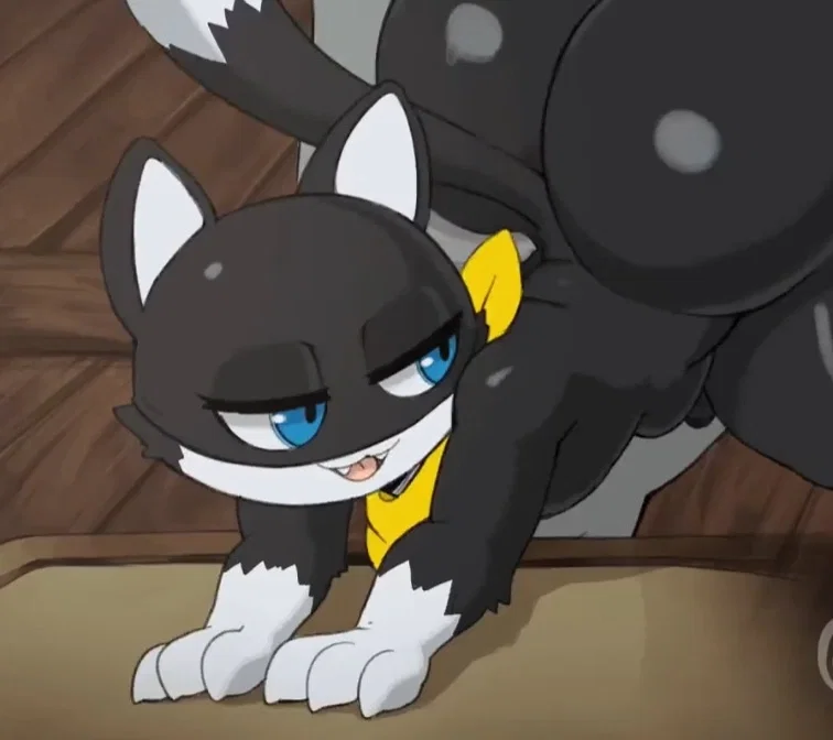 Avatar of Morgana(Your annoying cat friend that lives in your house rent free, denying that's he's a cat)