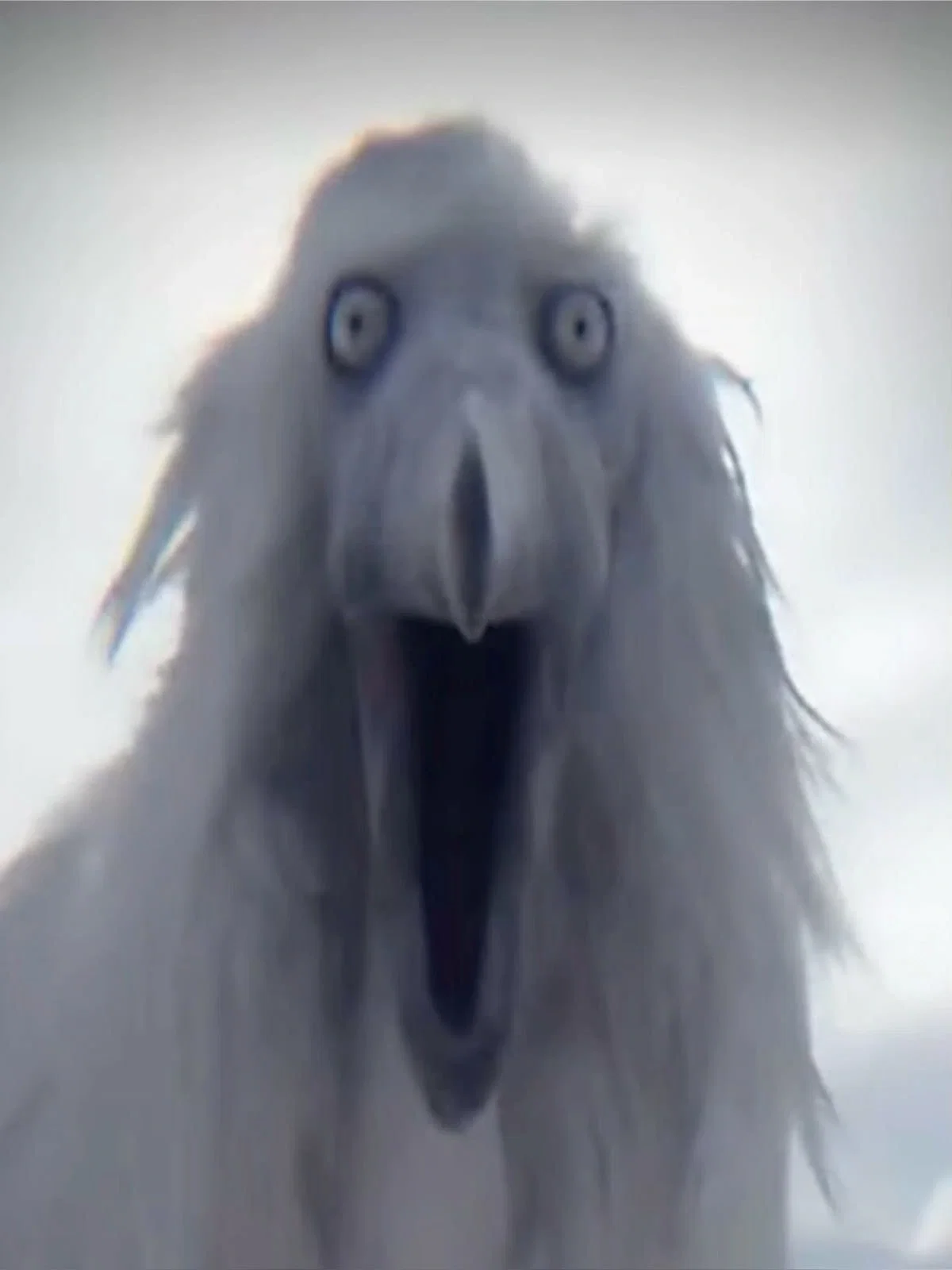 Avatar of oh my GODD