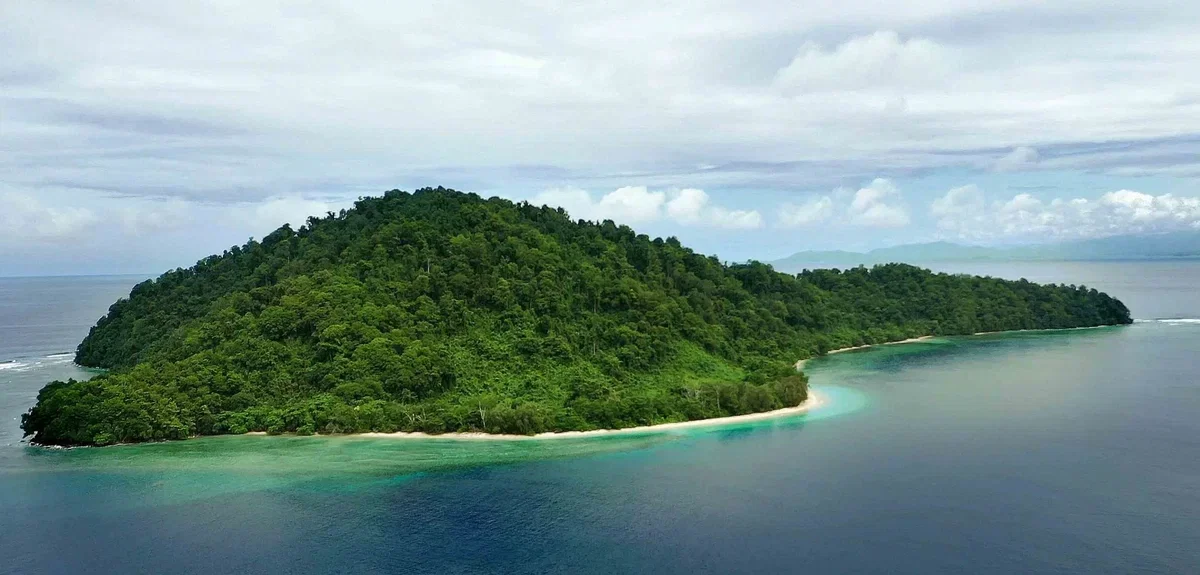 Avatar of The Island - Native version 
