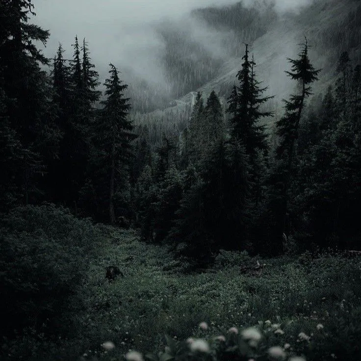 Avatar of Forests of Avernus